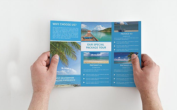 Travel Company Brochure