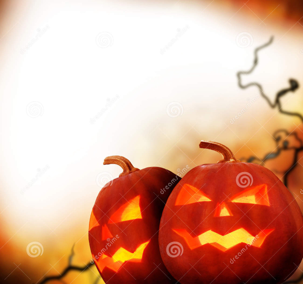 halloween pumpkin photograpghy design
