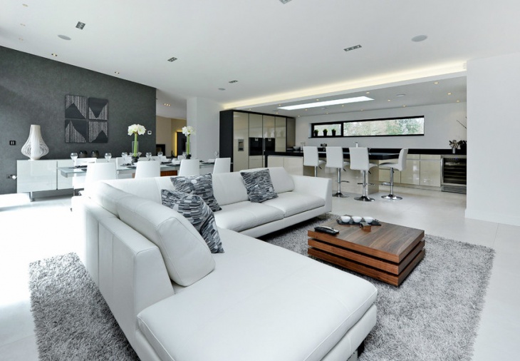 luxury home living room interior