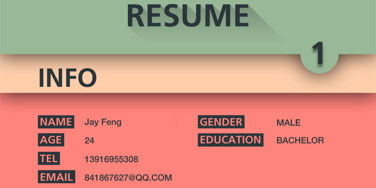 infographic style resume template