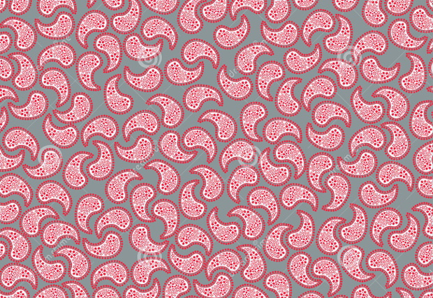 red paisley pattern design