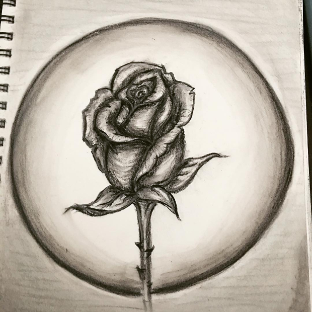 rose bud pencil drawing 