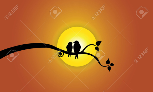 love bird silhouette