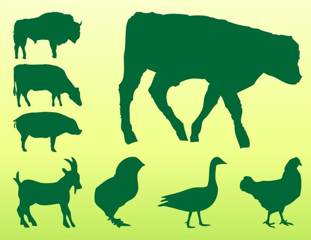 farm animal silhouette 
