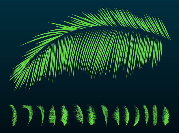 palm leaf silhouette 