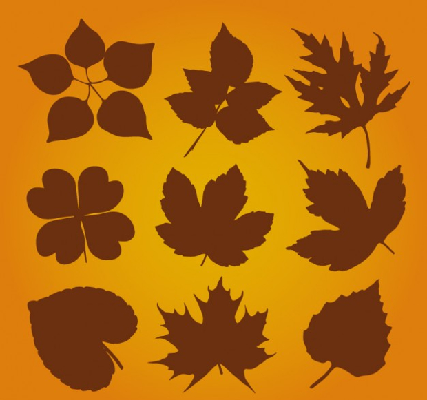 autumn leaf silhouette