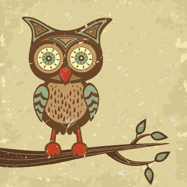 vintage owl illustration