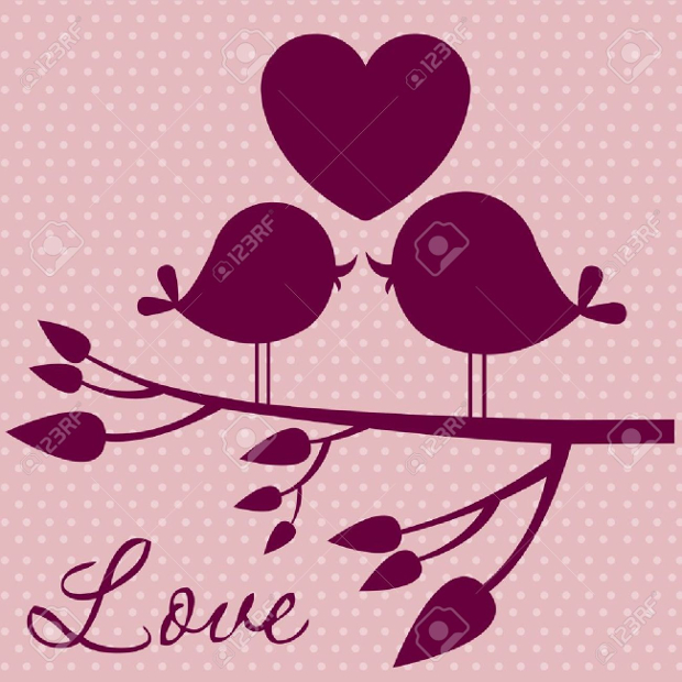 love birds illustration