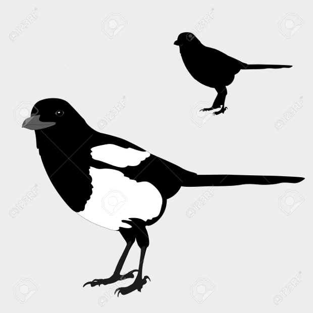 black and white bird illustration