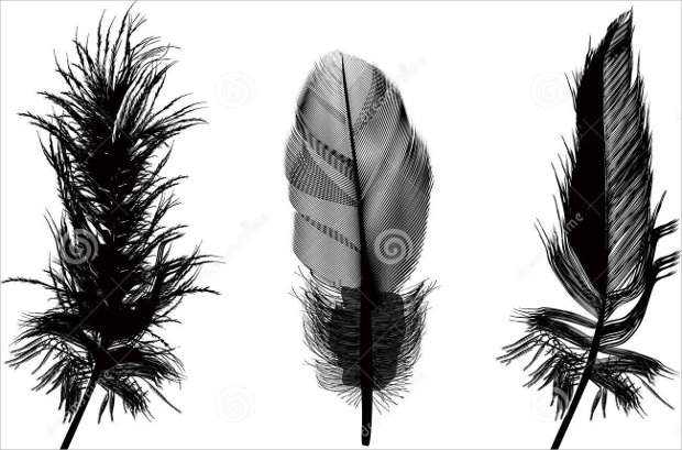 black feather illustration