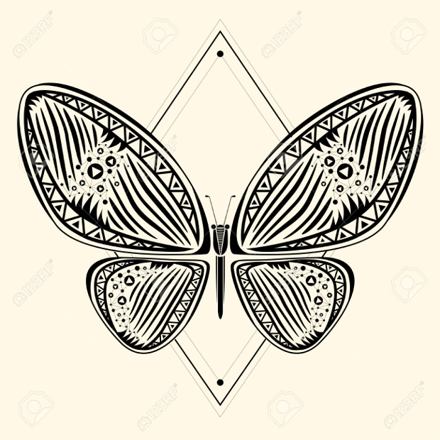 tribal butterfly illustration
