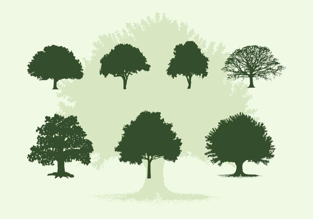 oak tree silhouette1