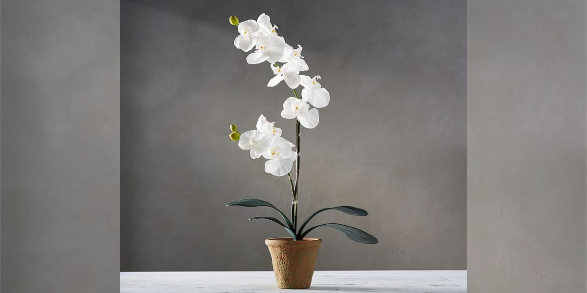 faux potted orchid