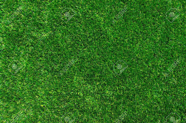 grass lawn texture
