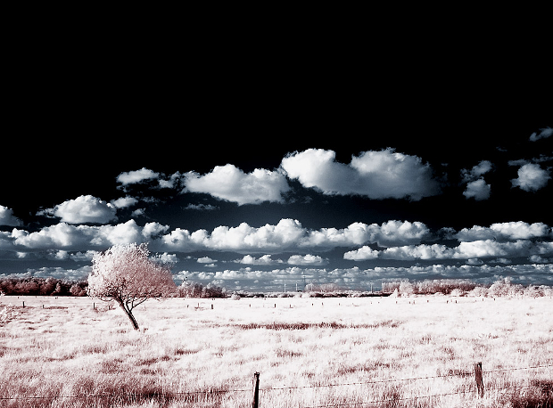 digital infrared photography