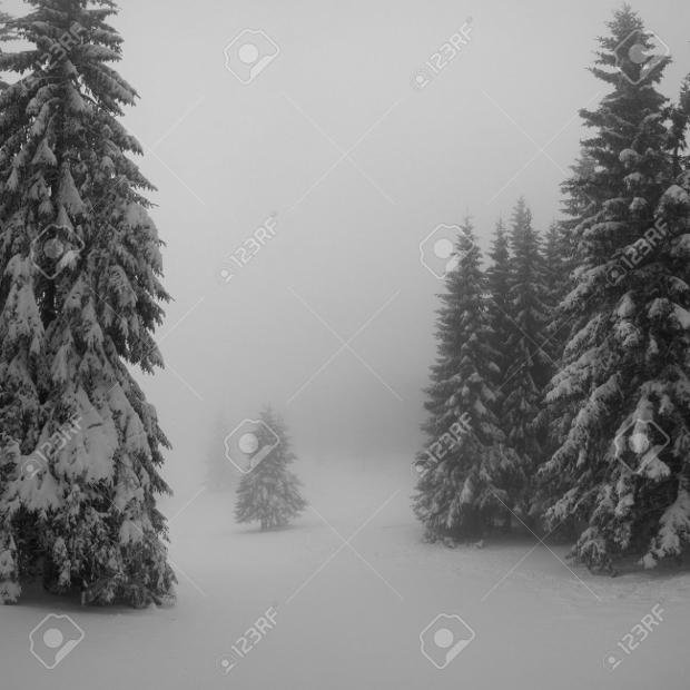 black and white winter landscape photography
