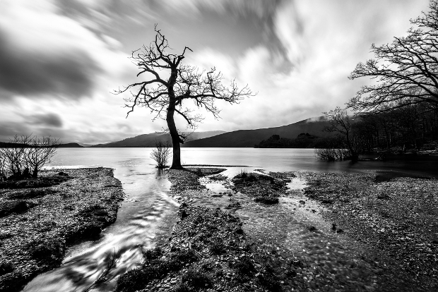 beautiful black and white nature photography 