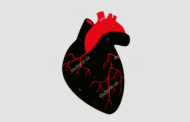 human heart silhouette