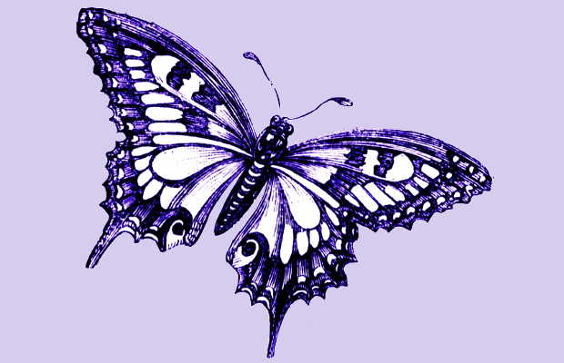 purple butterfly clipart