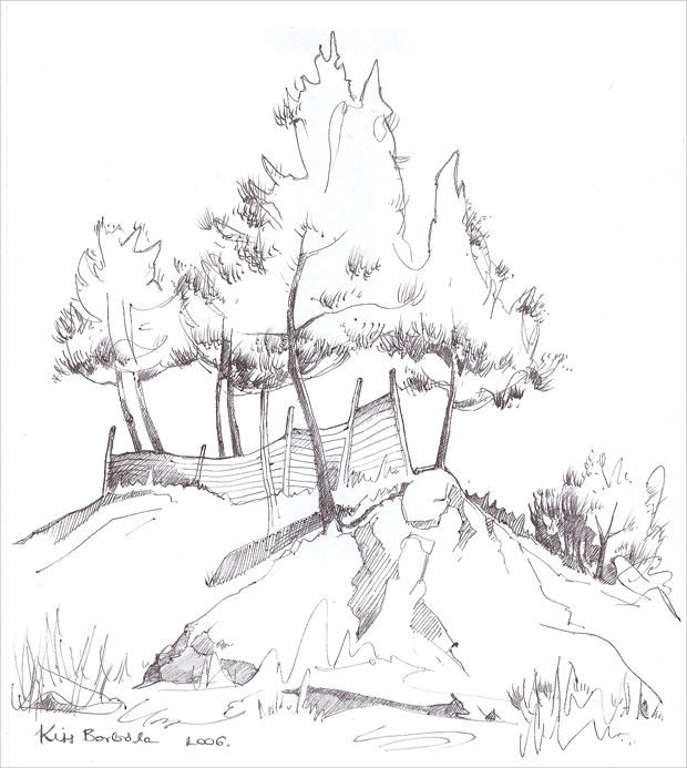 pine tree line drawing