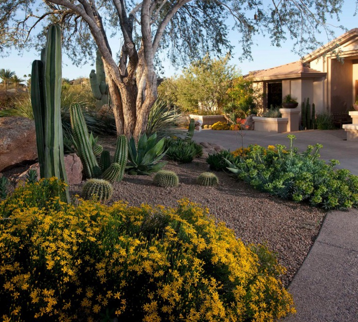 outdoor cactus garden design