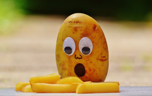 funny french fries food photography