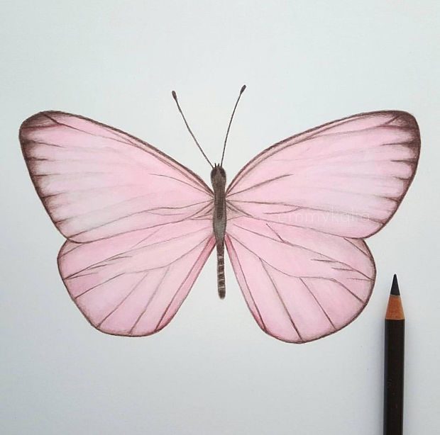 20+ Butterfly Drawings, Art Ideas | Design Trends - Premium PSD, Vector