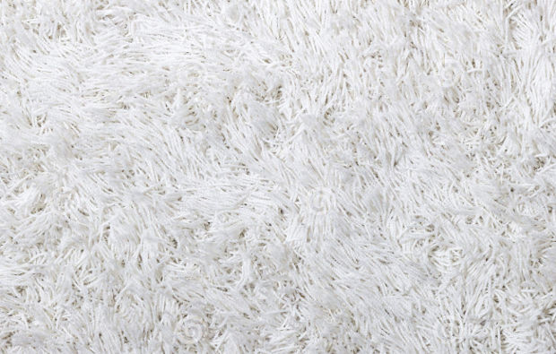 white shaggy carpet texture