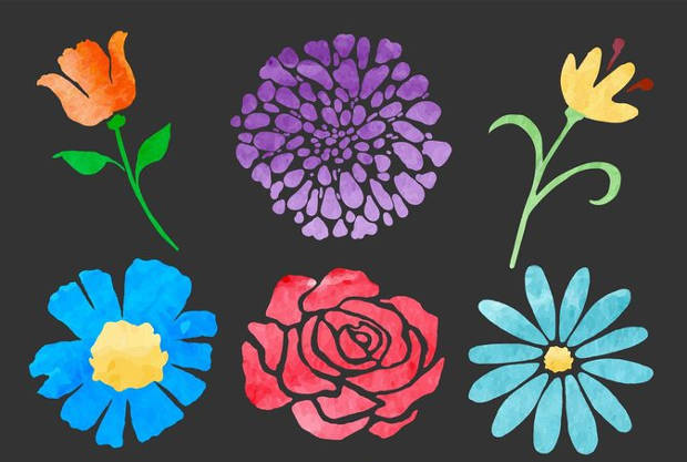 hand painted watercolor flower vector