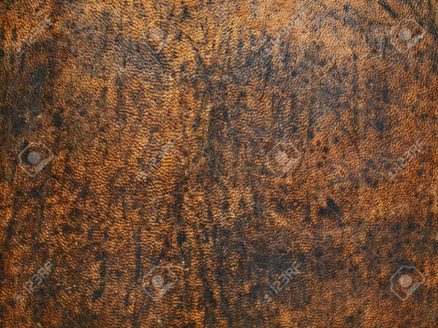old leather texture