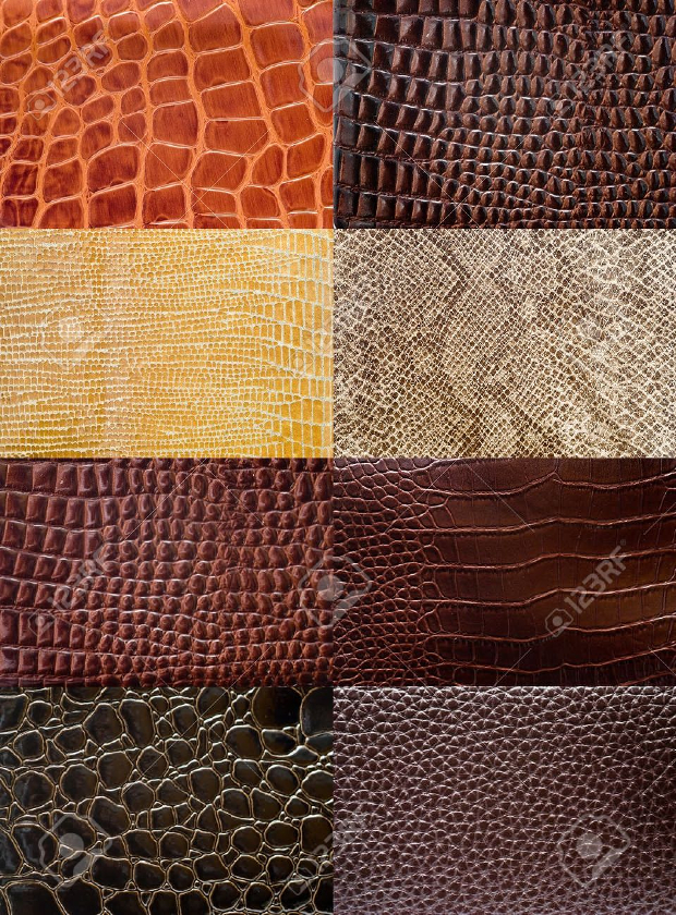 reptile leather texture