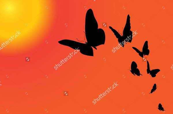 flying butterfly sunset silhouette