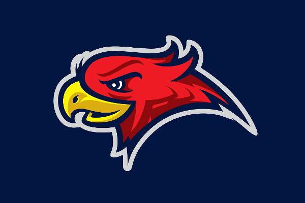 angry bird sports logo