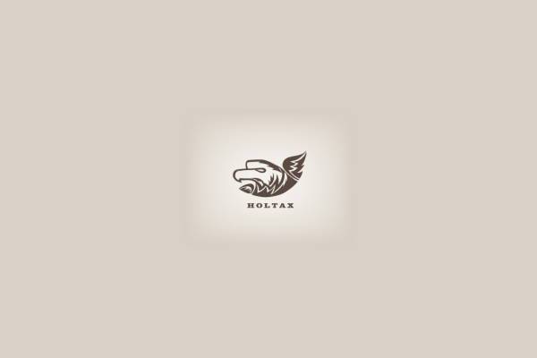 bird eagle head logo