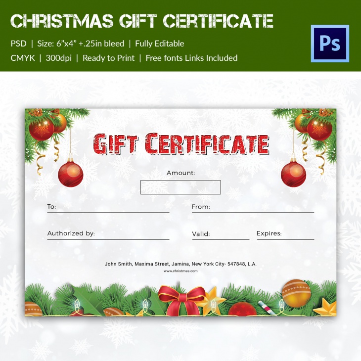 christmas broucher 2016 gift certificate