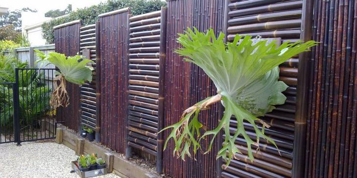 modern bamboo garden fence