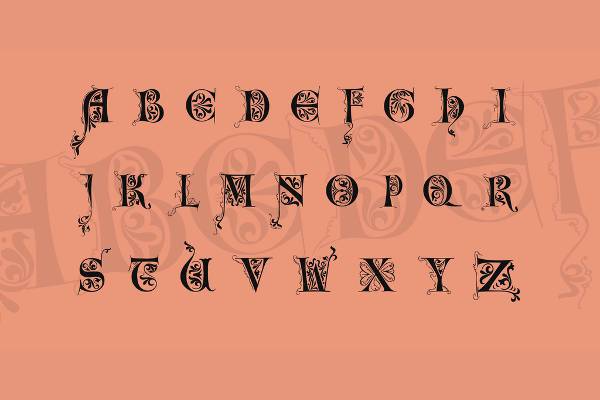 elegant calligraphy lettering font