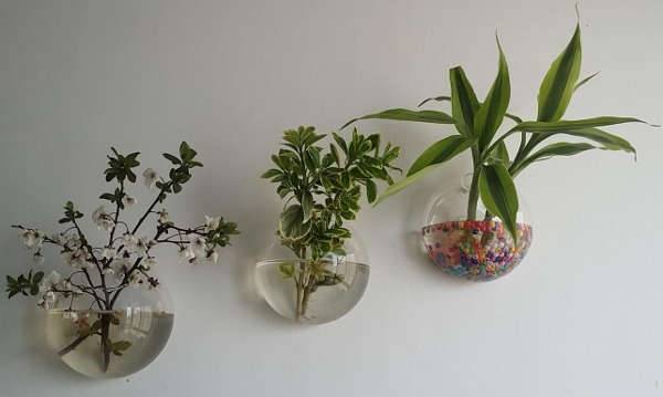 hanging wall planters