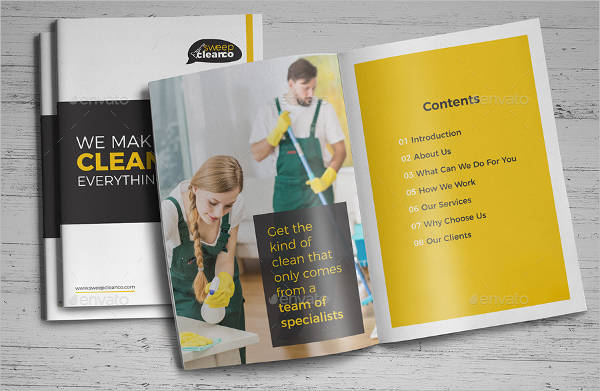 Cleaning Service Company Brochure