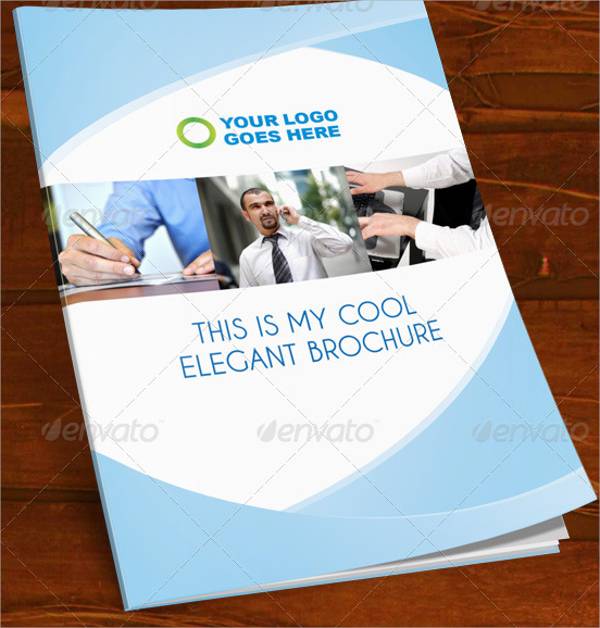 Elegant and Clean Business Brochure