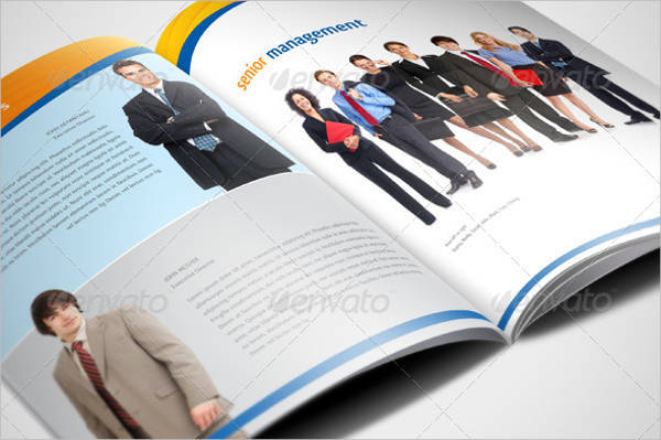 Professional Company Profile Brochure
