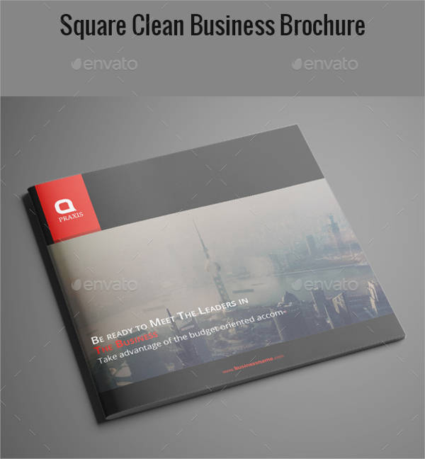 Square Clean Business Brochure