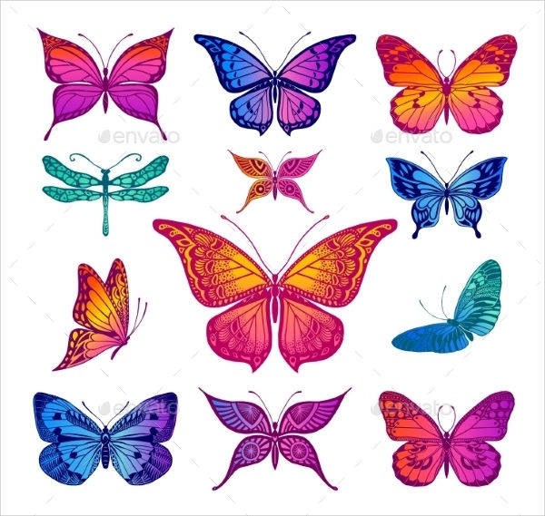 butterflies graphic illustration