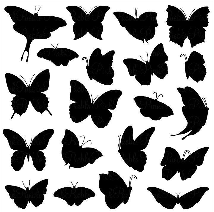 butterfly vector silhouette